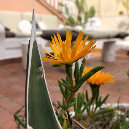 Terrace Navona Penthouse View Luxury Apartment Roma Ngoại thất bức ảnh