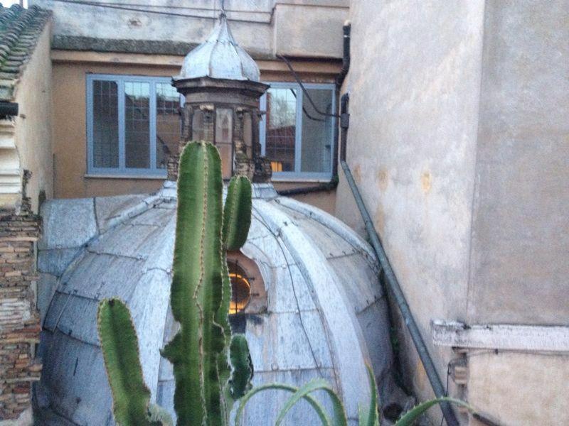 Terrace Navona Penthouse View Luxury Apartment Roma Ngoại thất bức ảnh